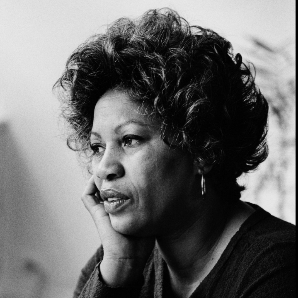 Sula by Toni Morrison (Paperback) - Picture 9 of 10